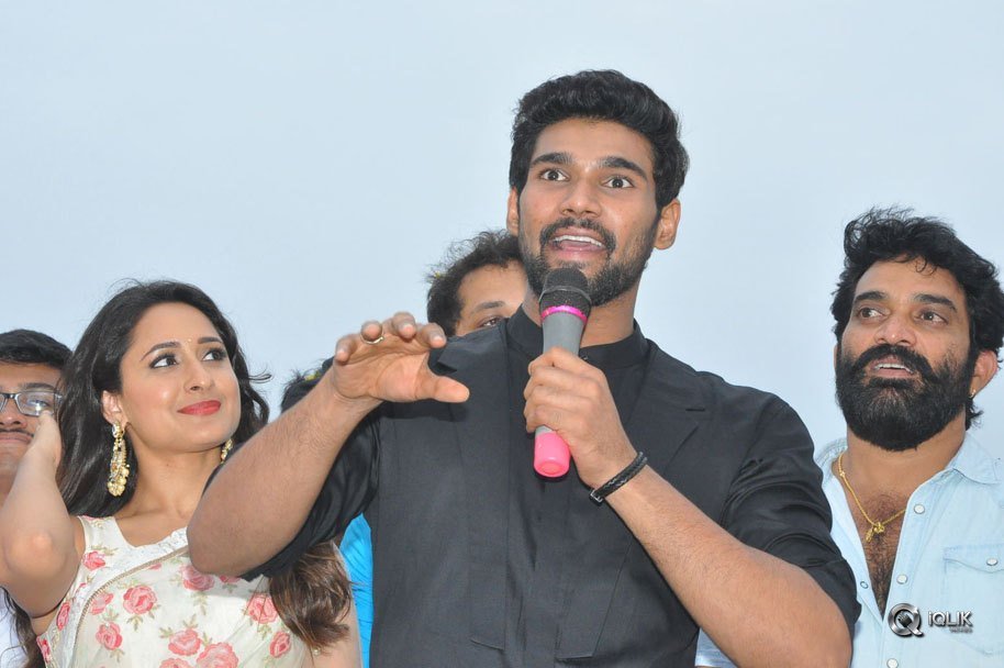 Jaya-Janaki-Nayaka-Movie-Vijayotsava-Veduka-At-Hamsala-Deevi